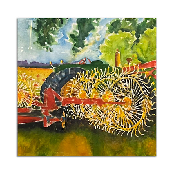 Hay Rake by Karen Schneider