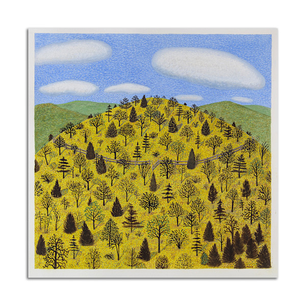 Hill with Fence by Jane Troup