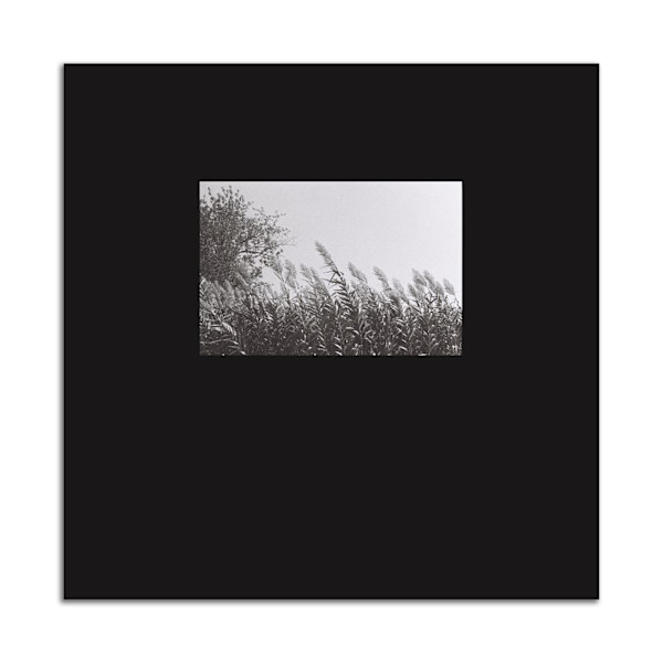Picture Window by Jesse Tyler