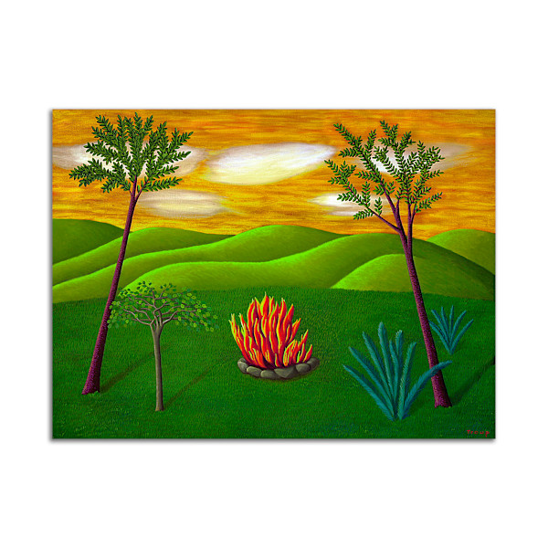 Landscape with Fire by Jane Troup