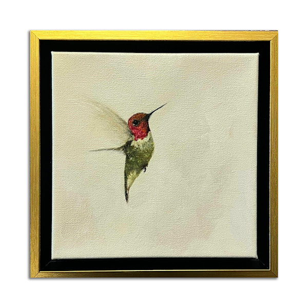 Hummingbird 10 by Linda Schaefer