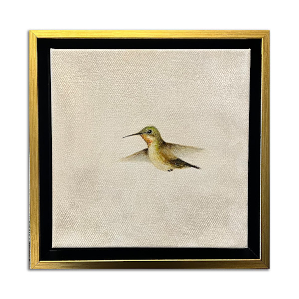 Hummingbird 7 by Linda Schaefer