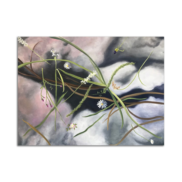 Missouri Wildflowers #1 by Lil Olive, Image 1.