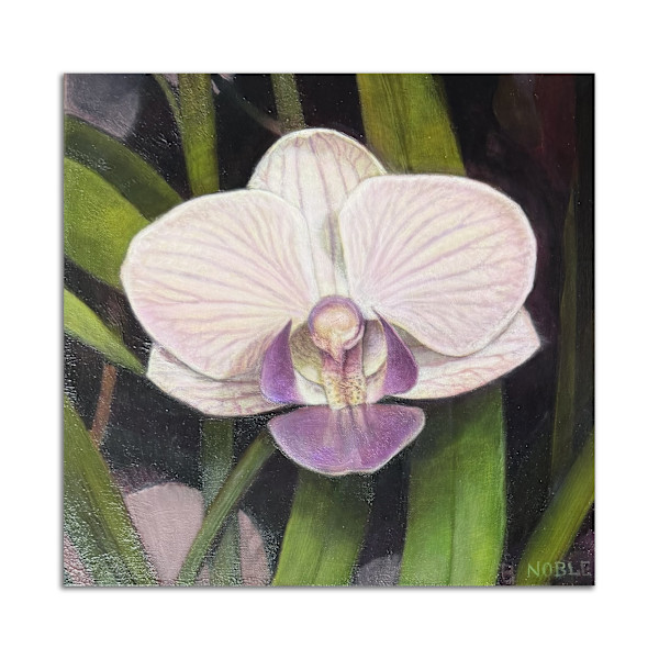 Orchid by Brad Noble, Image 3.