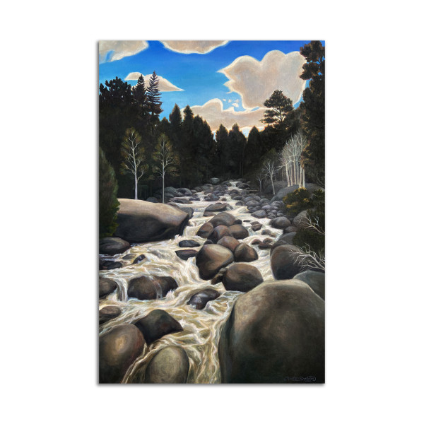 RMNP Memories by Christie Snelson