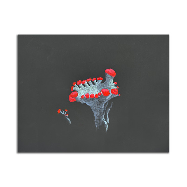 Red Soldier by Jane Troup