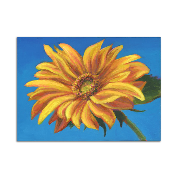 Reveal by Christie Snelson, Image 1.