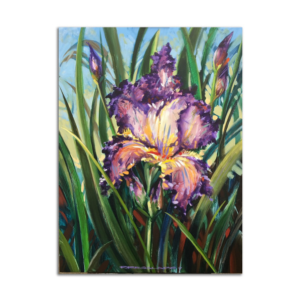 Purple Iris by Roberto Regalado