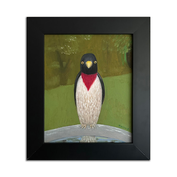Rose-breasted Grosbeak by Jane Troup