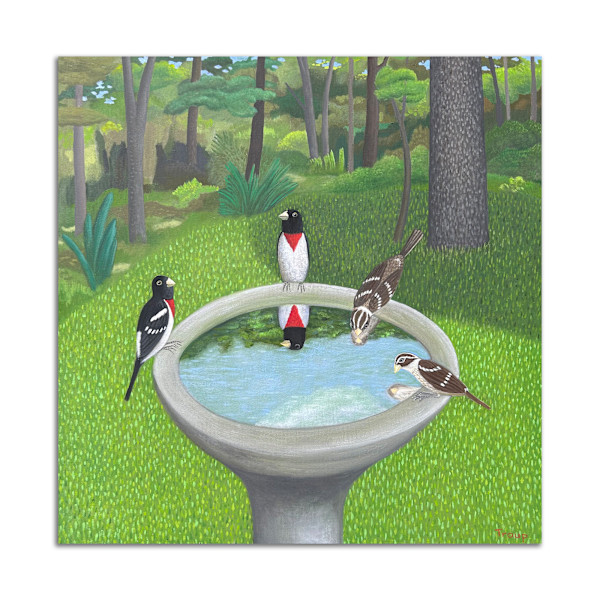Rose-breasted Grosbeaks by Jane Troup