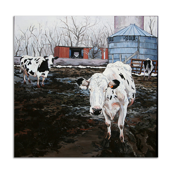 Sioux City Cows by Jared Gillett