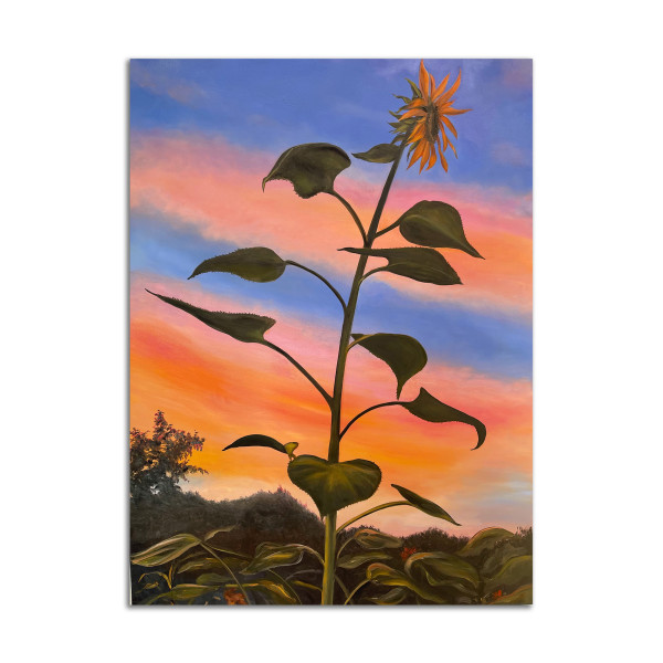 Sunset Sunflower by Lil Olive