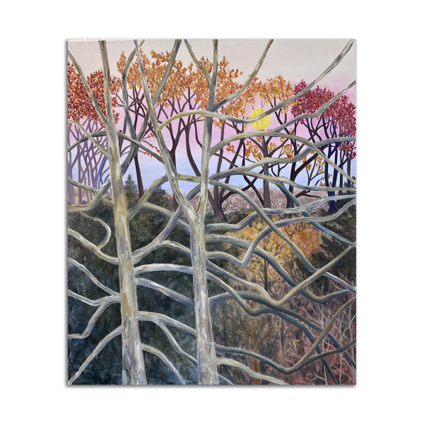 Sycamore Trees by Lil Olive