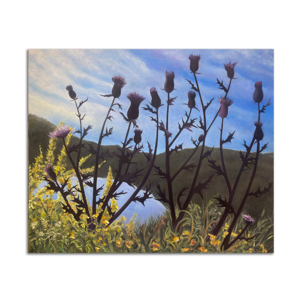 Thistle on a Hill by Lil Olive