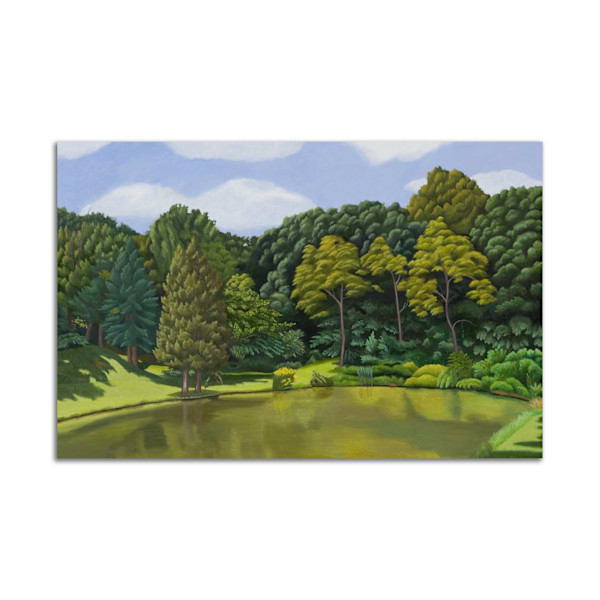 Turtle Pond by Jane Troup, Image 2.