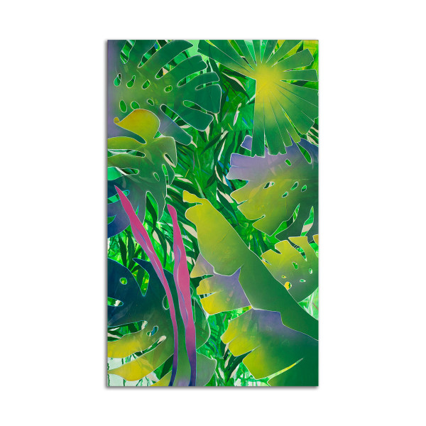 Botanica by Steve McGuire, Andrea Kirchhoefer