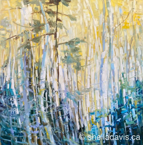 Breaking light by Sheila Davis  SCA OSA SFCA