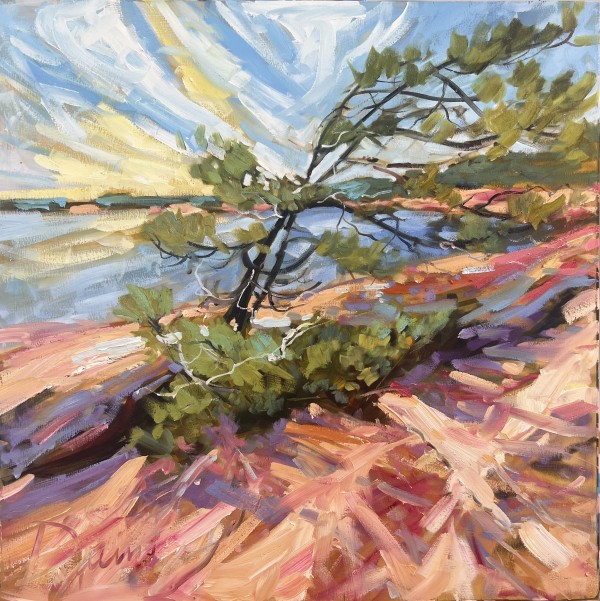 New Kid  on the Rock by Sheila Davis  SCA OSA SFCA