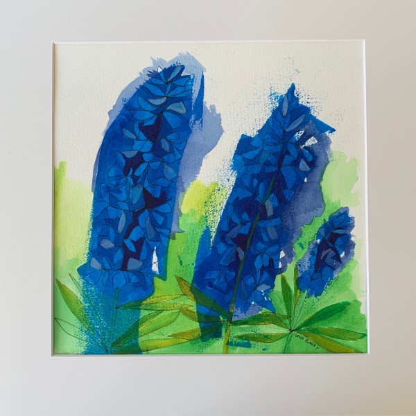 Lupine by Gina Barry