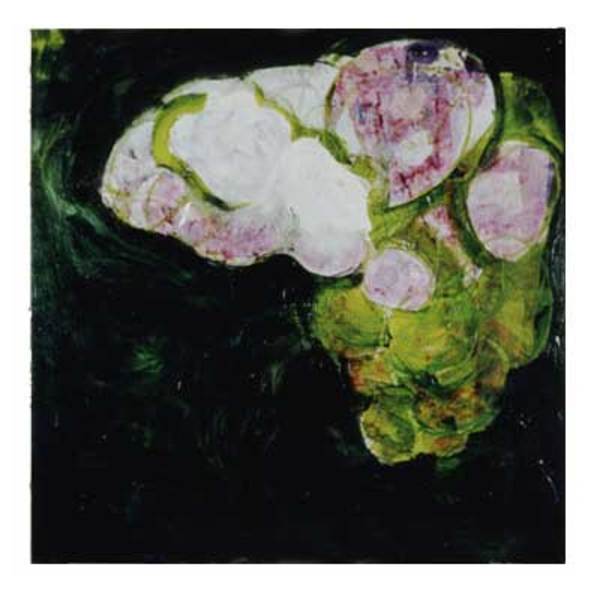 Cloud Collector by David Haig Alexander