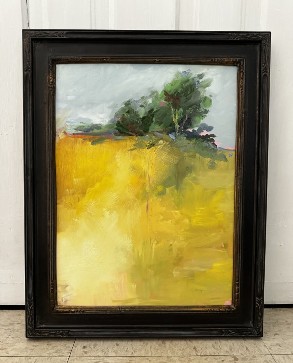 The Promise Fields by sharon jiskra brooks