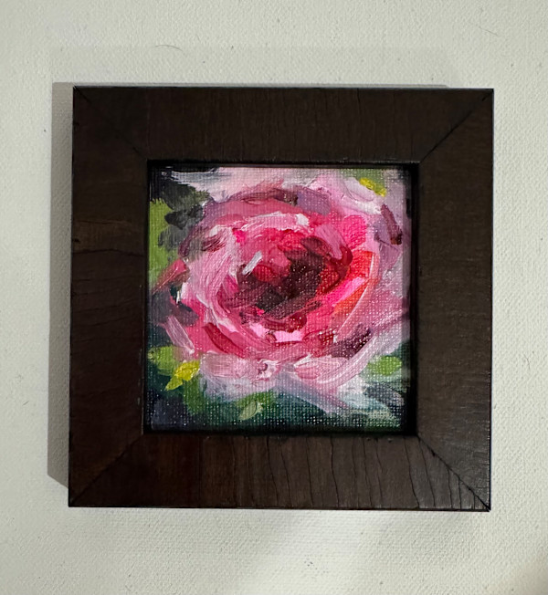 Mini 6 by sharon jiskra brooks