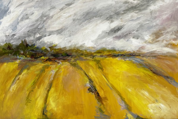 Fields of Gold by sharon jiskra brooks