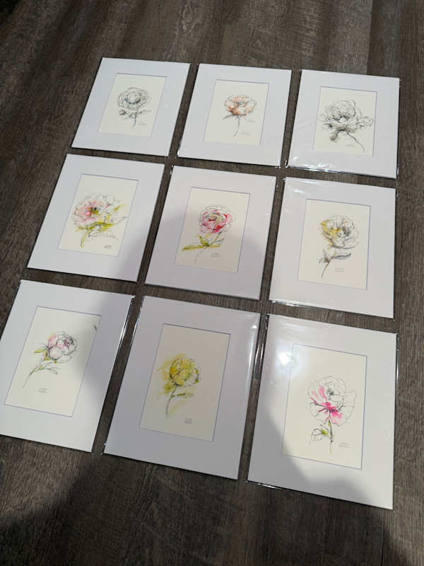 Inked Peonies (Matted) by sharon jiskra brooks, Image 1.