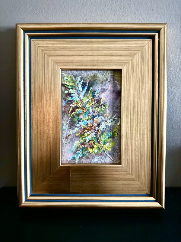 Ostrich Fern (Study) by sharon jiskra brooks