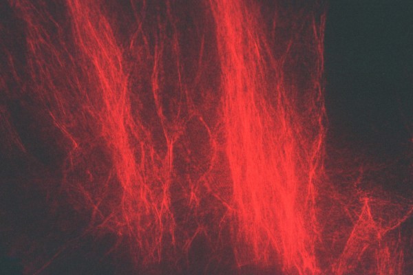 Red Series 3 (Storm), Image 4.
