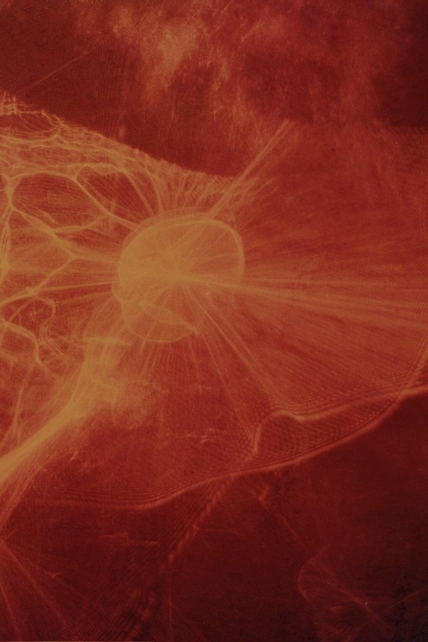 Amber Series 5 (Ingeous), Image 9.