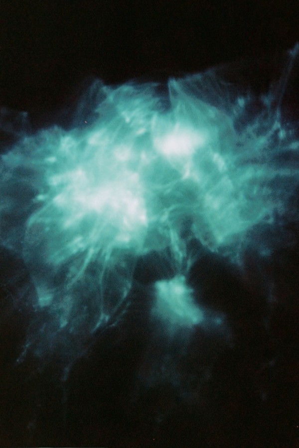 Blue Series 4 (Above), Image 18.