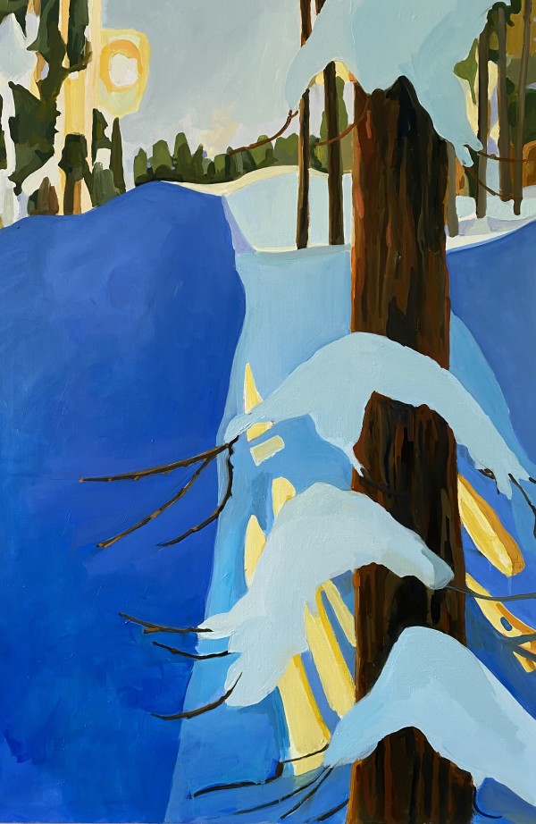 Nordic Series by Monica E Carroll