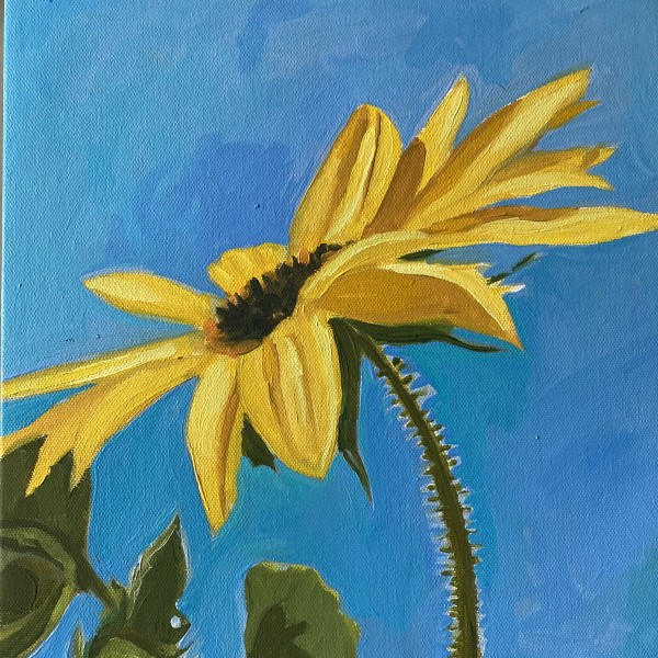1. Sunflower