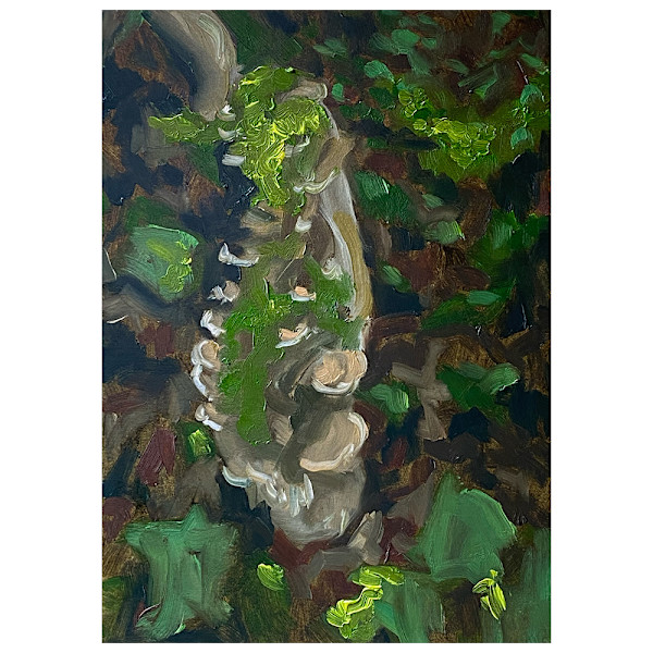 Trincos pora atlantica study, 2022 by Jen Chau