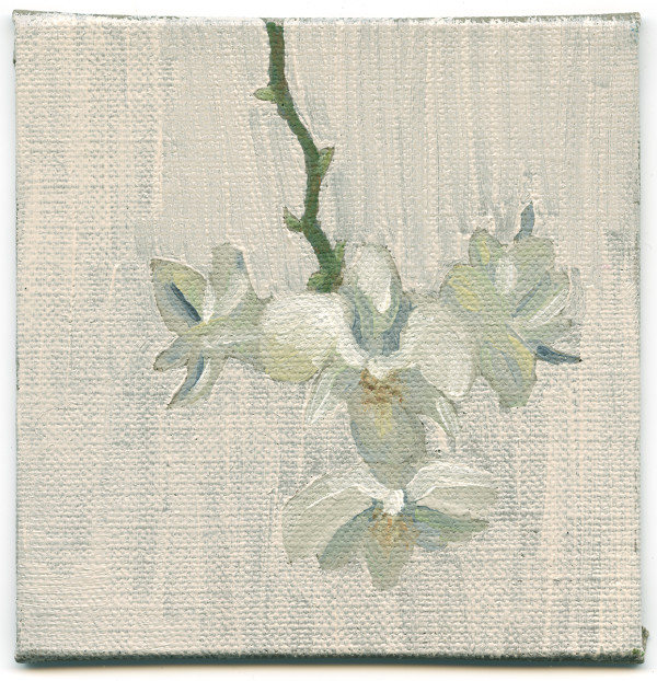 Orchid Study by Jen Chau