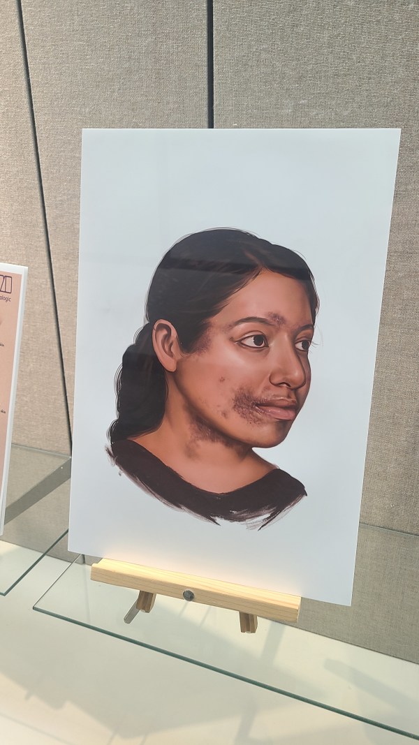 Facial Illustration by Hillary Wilson