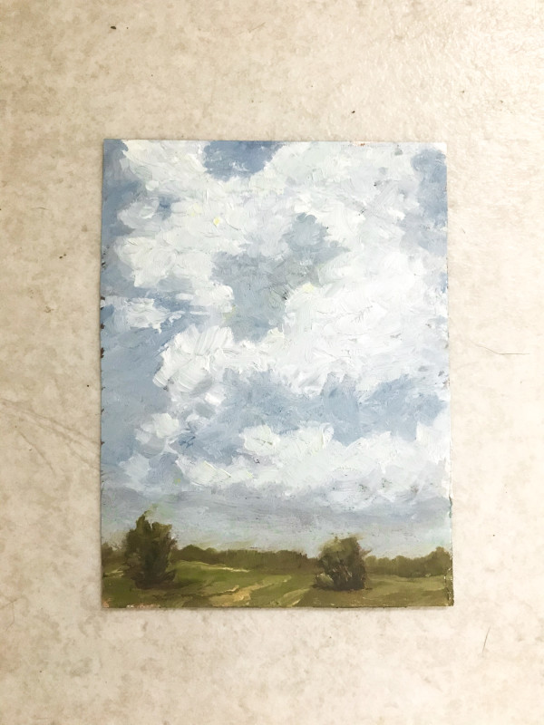 Big Sky Over the Old Field by Makenna Parker
