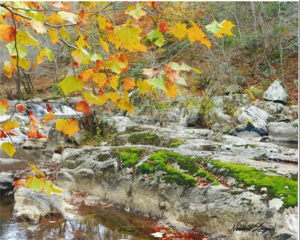 Autumn at Eno Rapids by Norma Longo