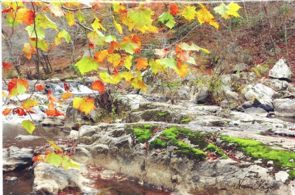 Autumn at Eno Rapids card - blank inside by Norma Longo