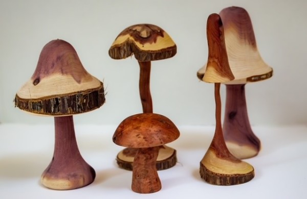 Wooden Pieces (1) by Chapel Hill Woodturners