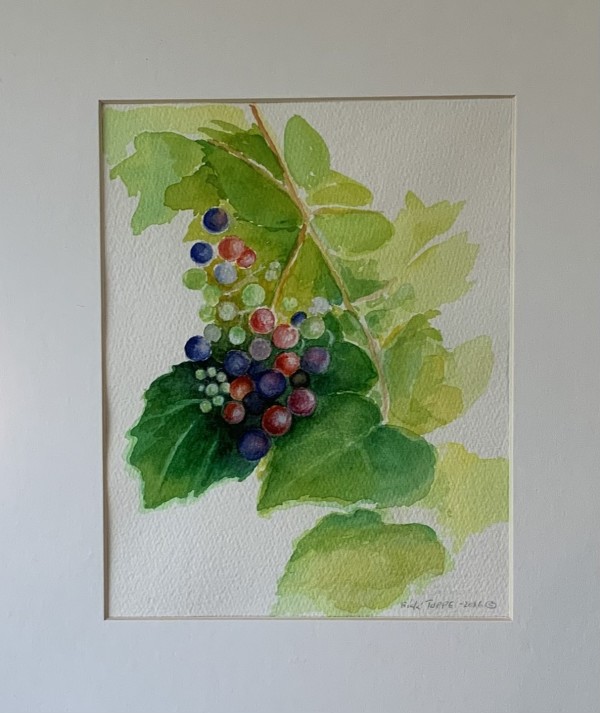 GRAPES by Rick Tupper