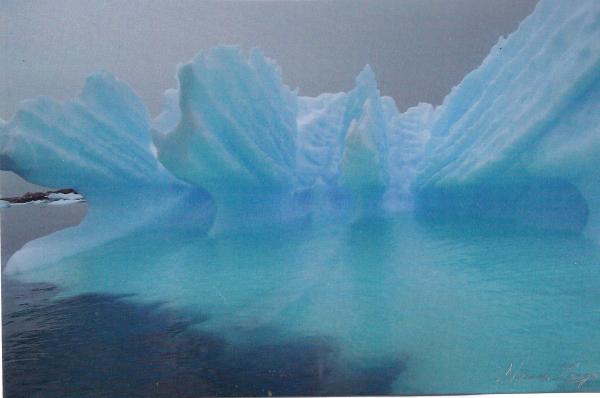 Iceberg "Splash" card - blank inside by Norma Longo