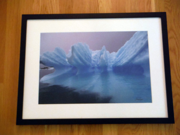 Iceberg "Splash" (black frame) by Norma Longo