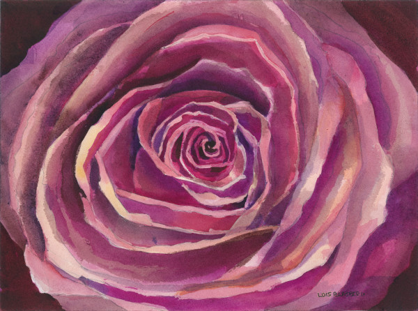 Antique Rose by Lois Blasberg