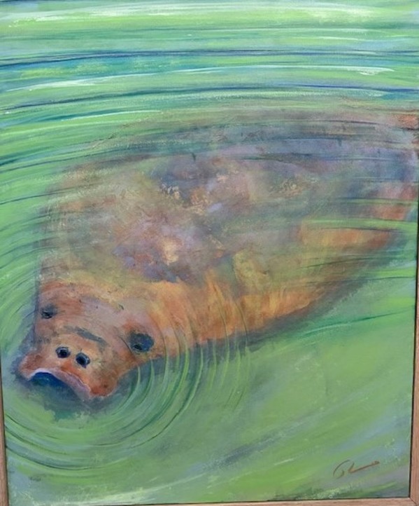 Manatee Life by Robert M. Allen