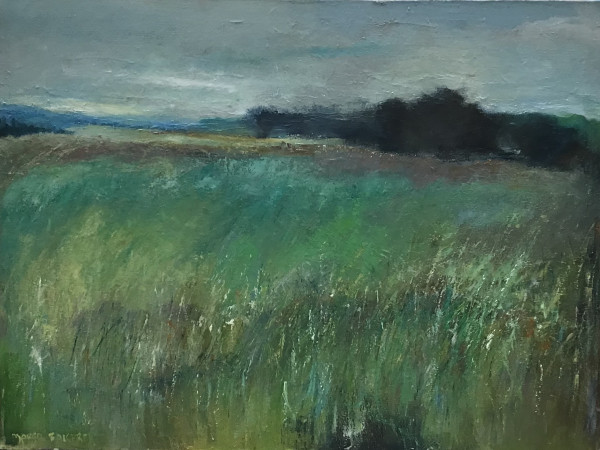 Martha's Meadow by Margo Balcerek