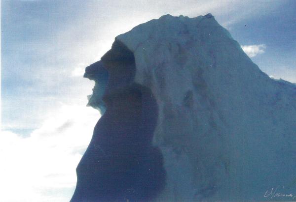 "Old Man" Iceberg card - blank inside by Norma Longo