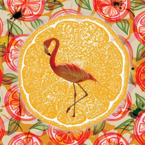 Oranges are Yummy by Mark Blanchard