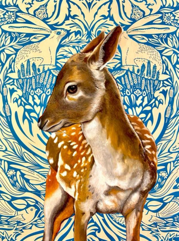 Spotted Fawn by Jennifer Clifton